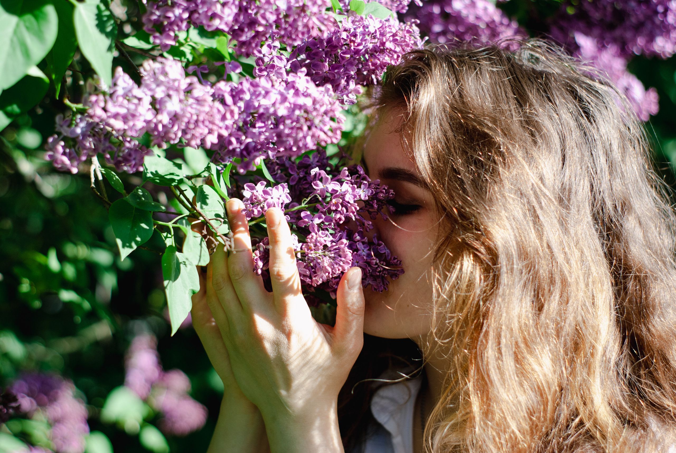 Allergies / intolérances