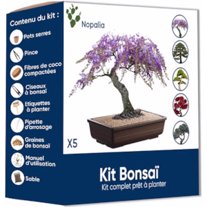 kit culture Bonsaï