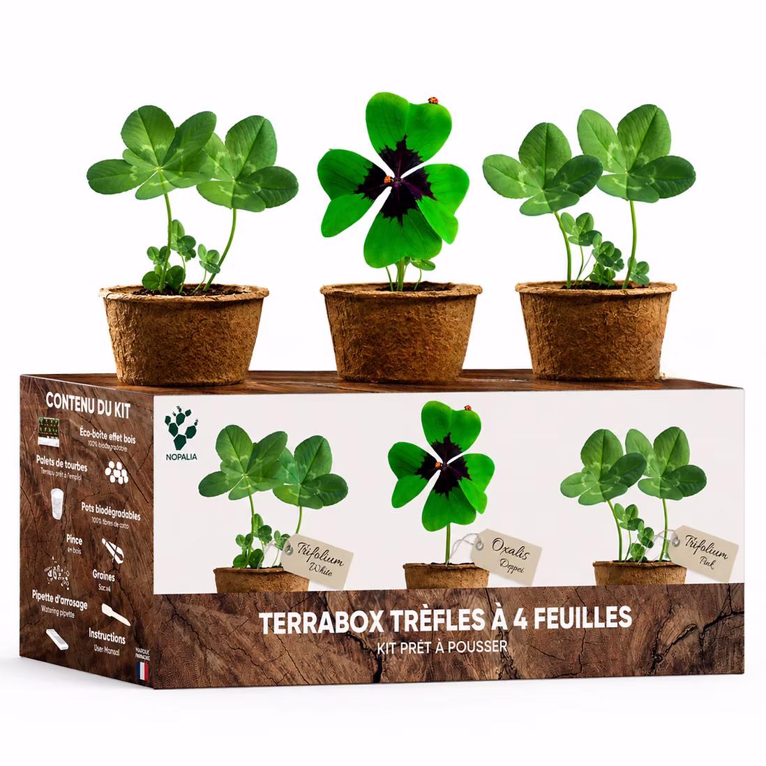 Kit culture trèfle 4 feuilles - Déco